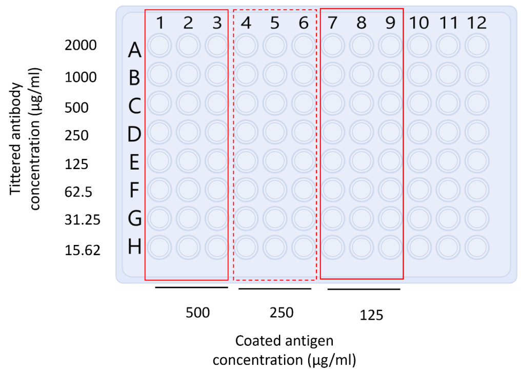 Affinity Determination of Monoclonal Antibodies (mAbs) Using Enzyme- Linked Immunosorbent Assay (ELISA)